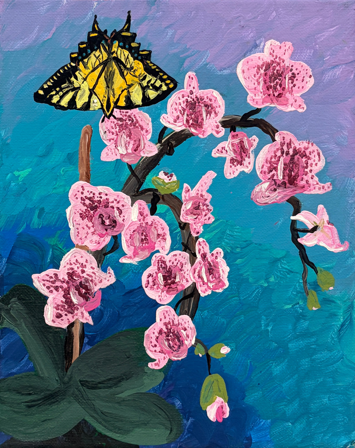Orchid Blush Original
